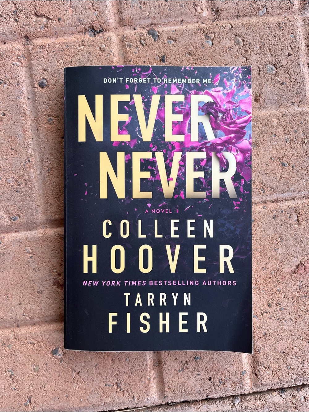 Never Never Wall Art Print - Black and Pink